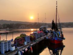 Soirée sur le port de Porquerolles
